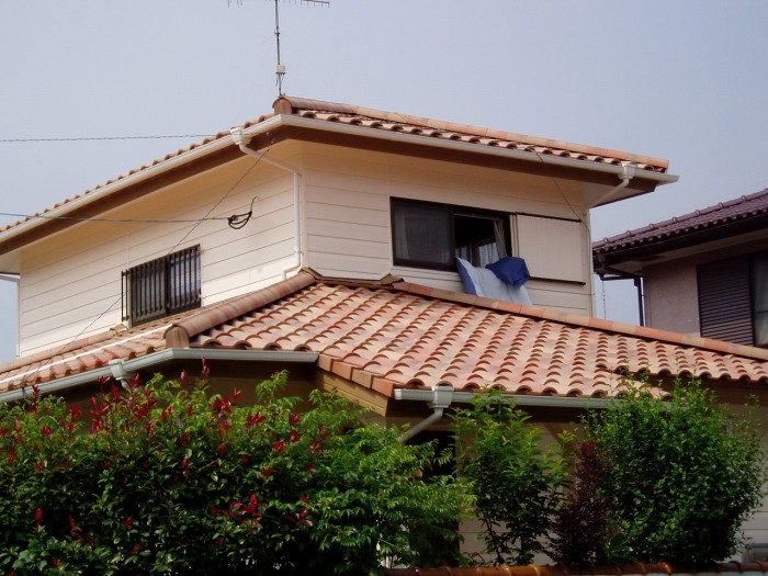 P1010048