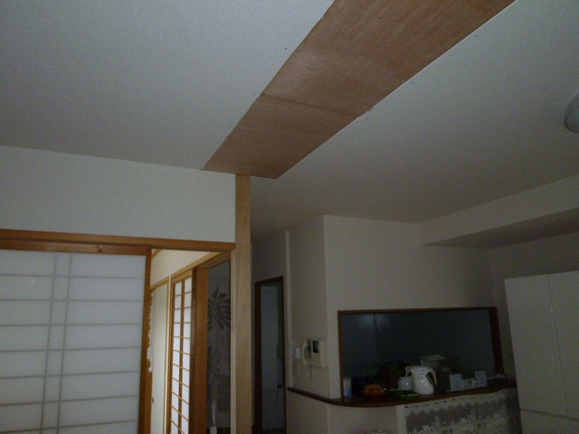 P10109191